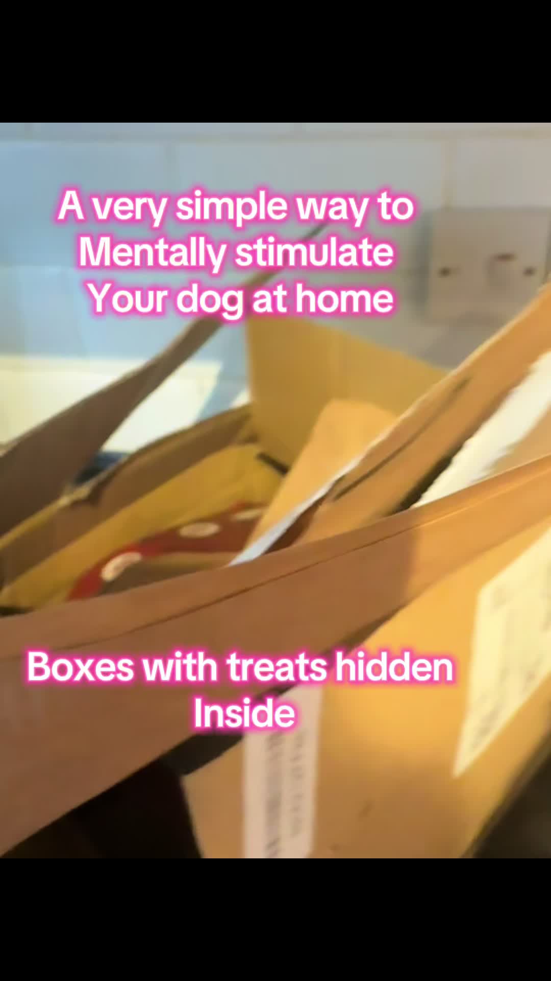 @Jade Byrne