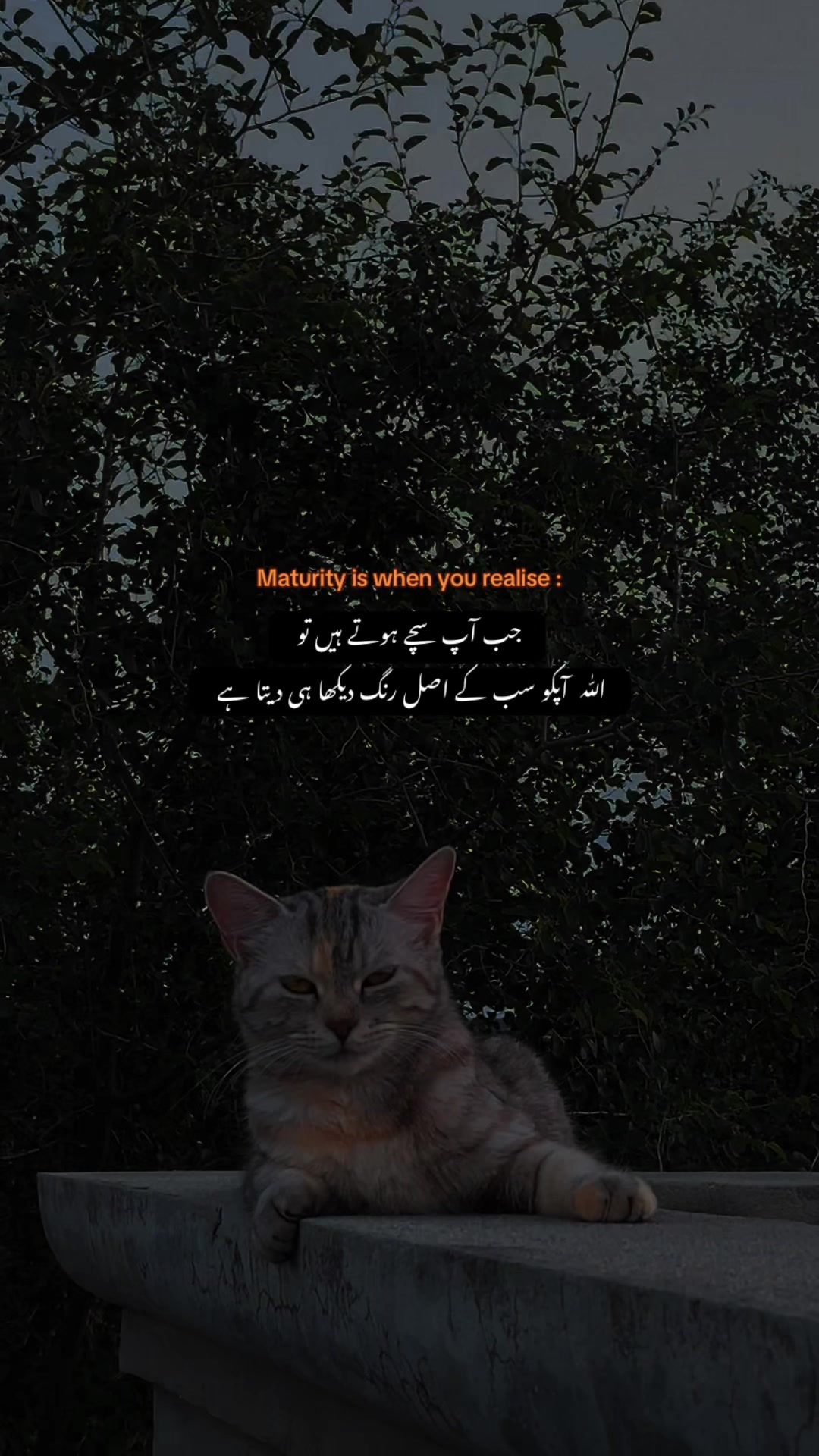 @𝙏𝙖𝙡𝙝𝙖 𝟐🫀❤️&zwj;🩹