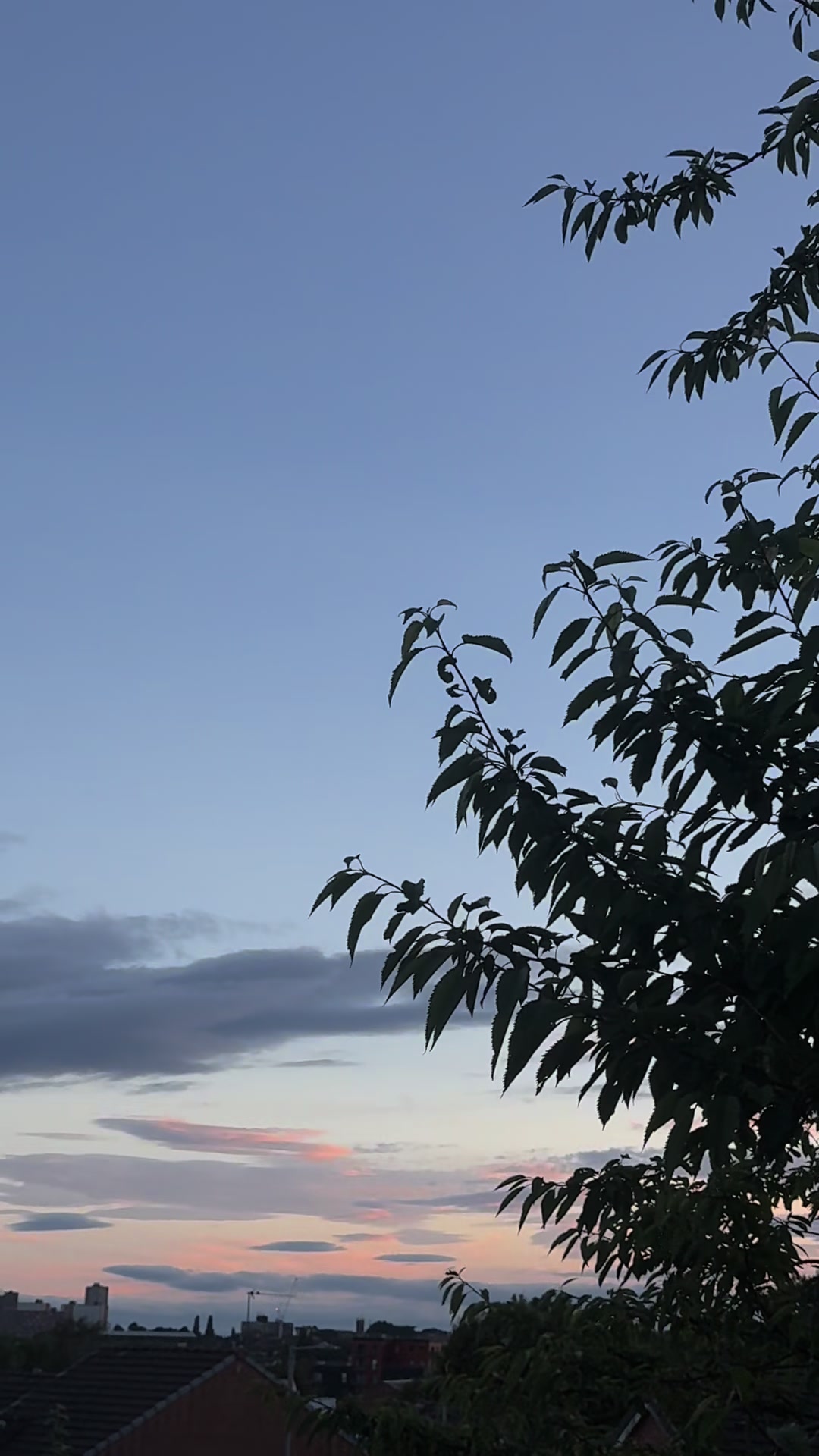 @Uzma 💔🥀