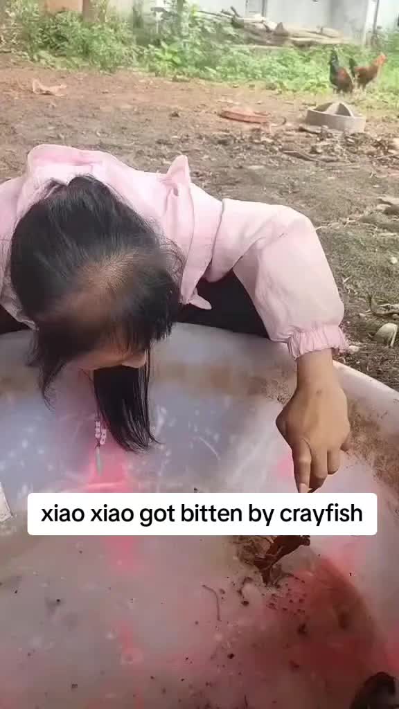 @Xiao xiao