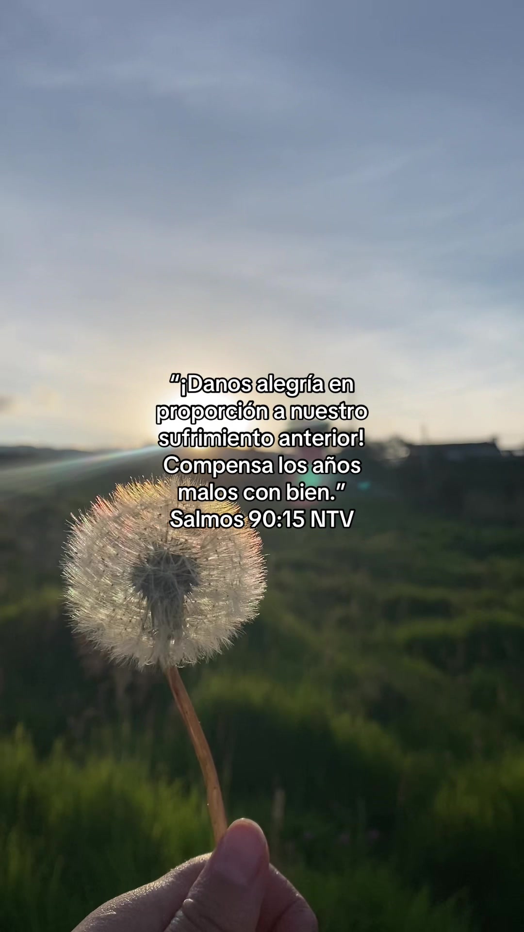 @Amando a Jes&uacute;s