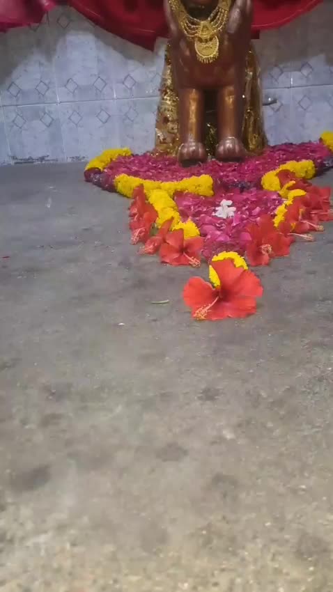@Kuvar Jignesh