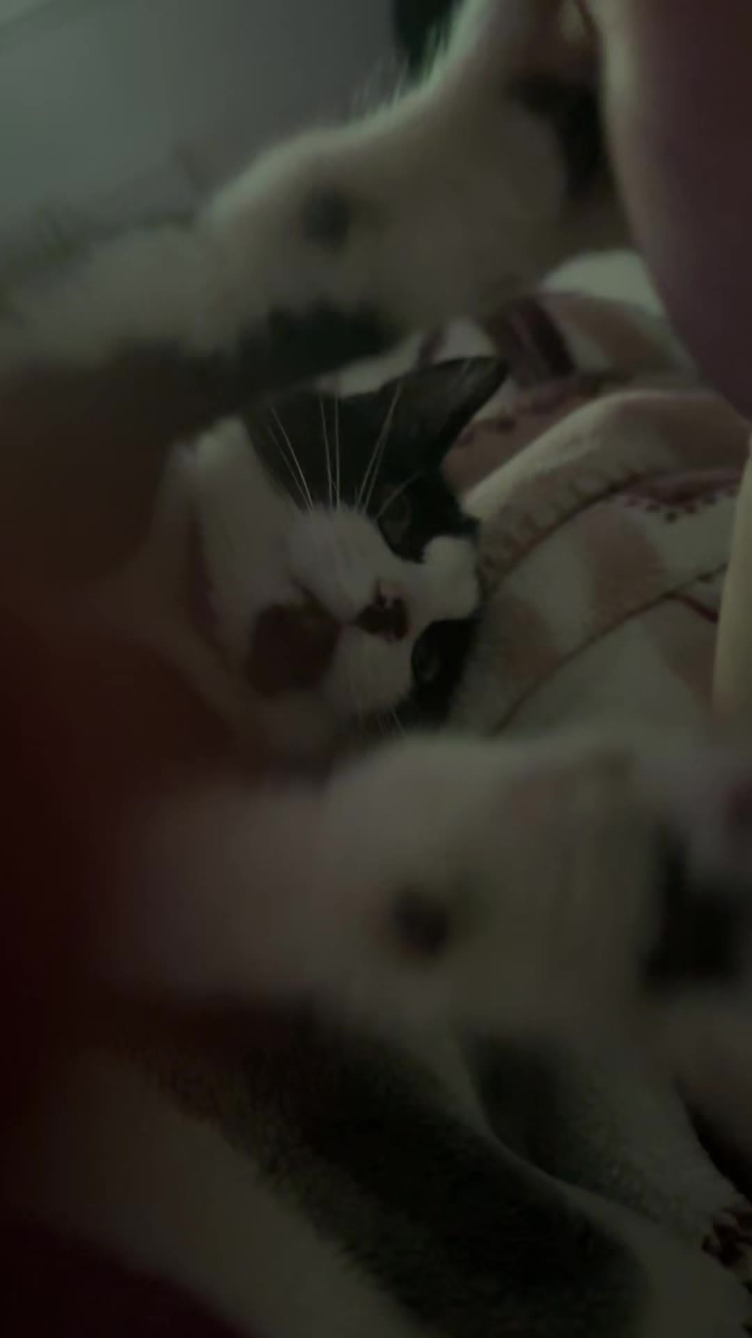 @S_𝐬𝐬𝐓𝟒R &bull; Friends