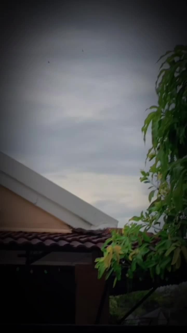 @🇭 🇦/🇽 🇷🇷🇾𓃮