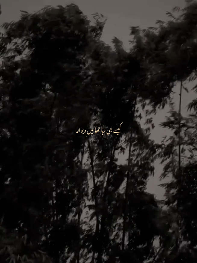 @ف🦋