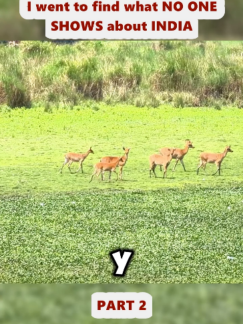 @Araya Vlogs