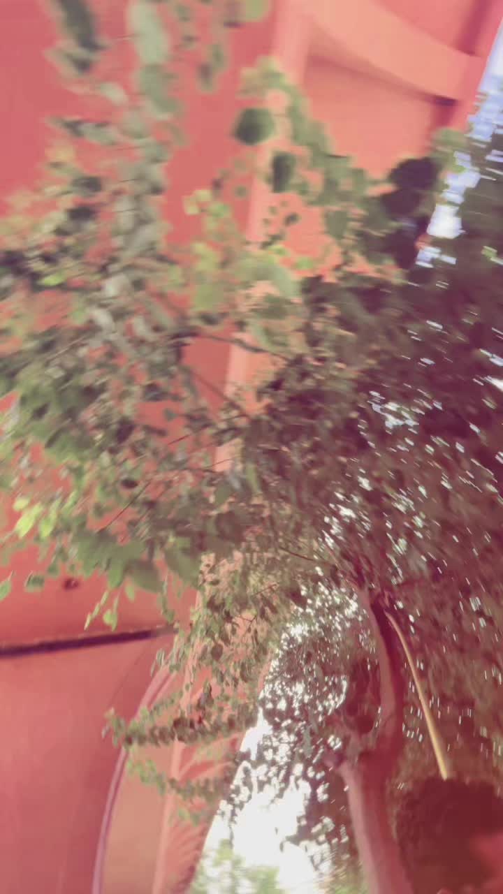 @𝙎𝙝𝙖𝙝𝙯𝙖𝙞𝙗_𝙈𝙪𝙜𝙝𝙖𝙡