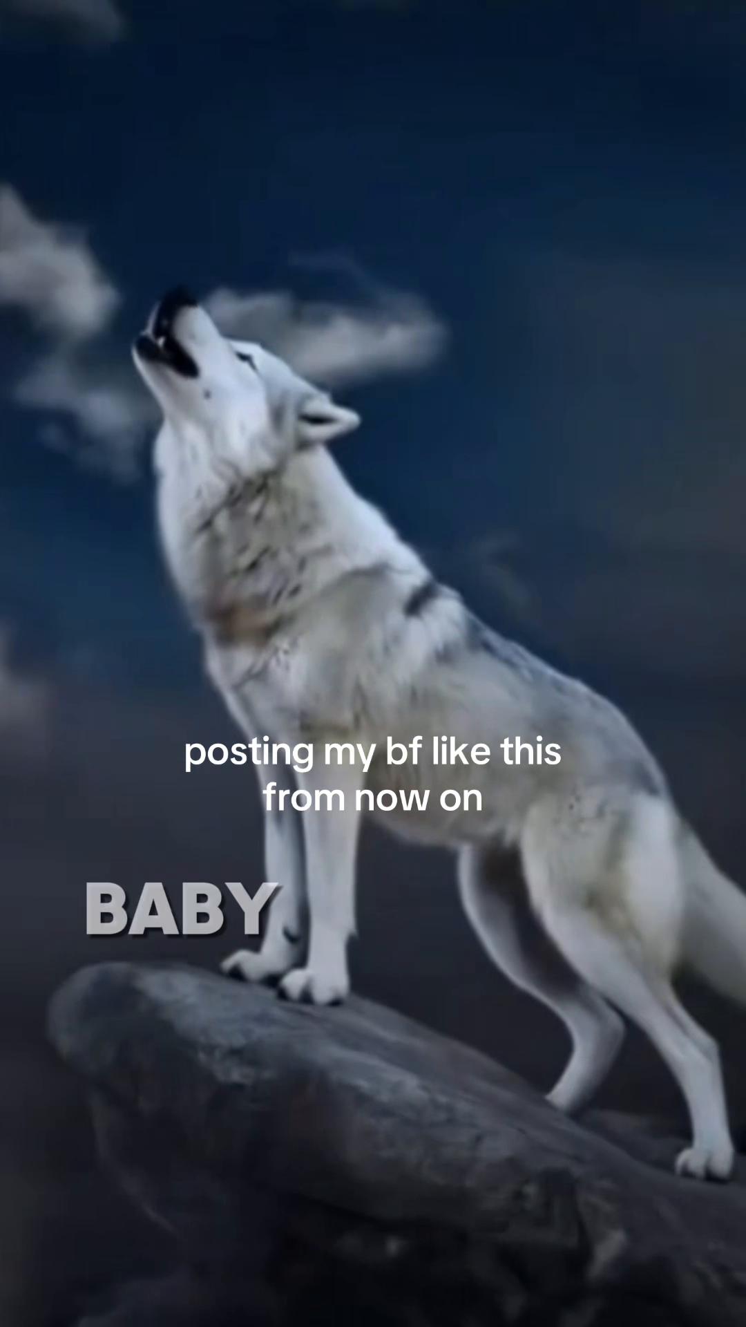 @sienna 🖤