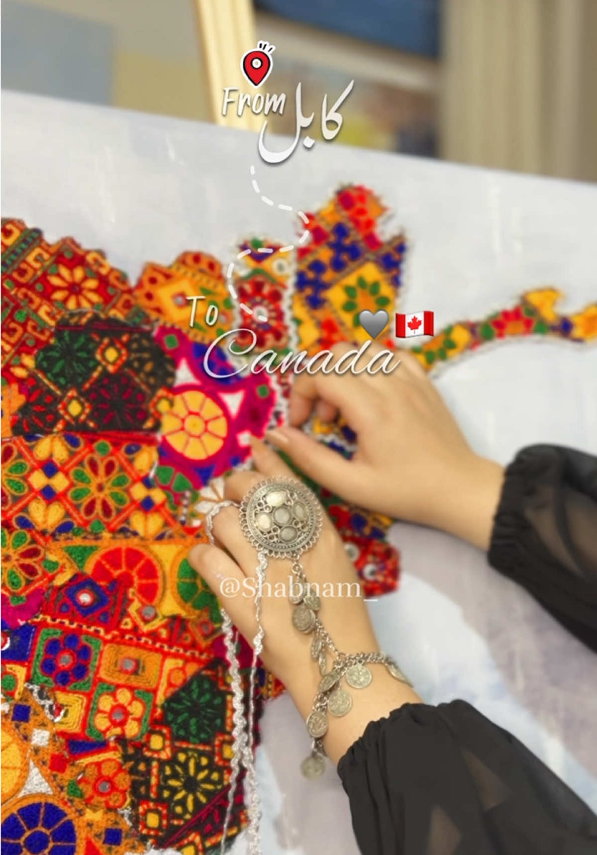 @Shabnam-Art works