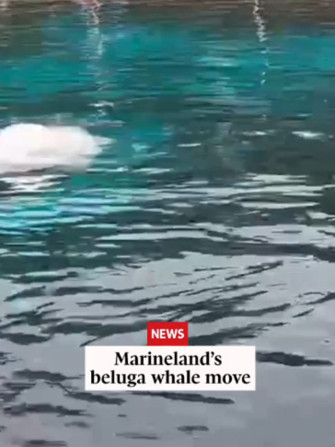 @The Globe and Mail