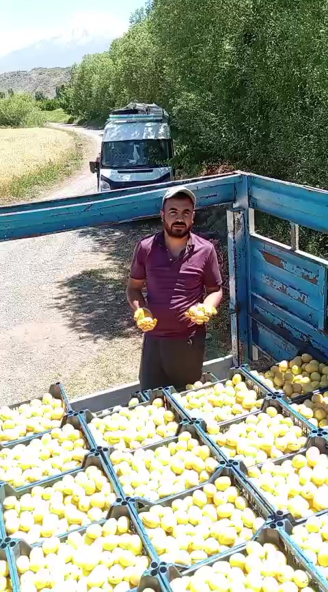 @rojatbekdili7604