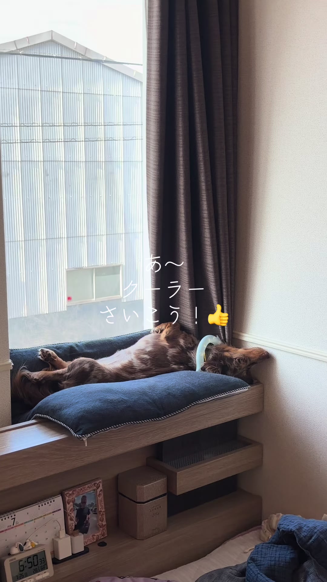 @ケン