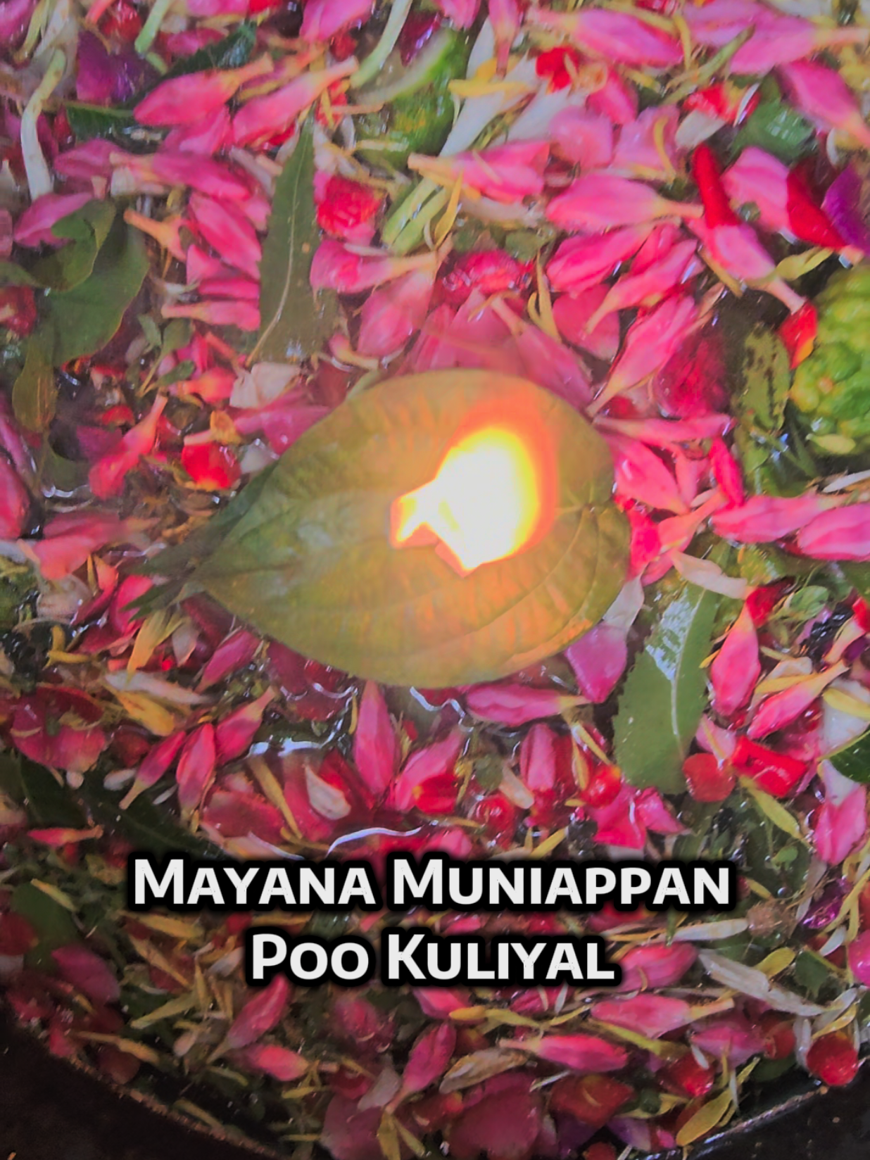 @MayanaMuniappan
