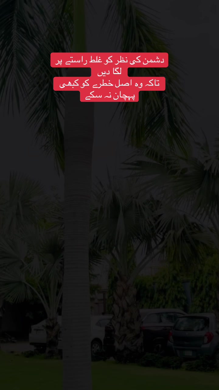@Dr Amir Mustafa Daha