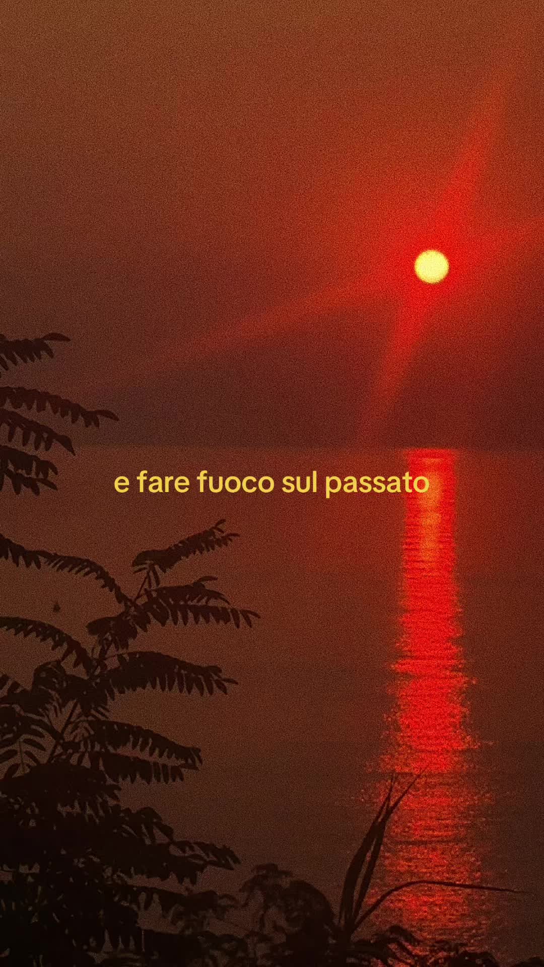 @⭐️⭐️⭐️
