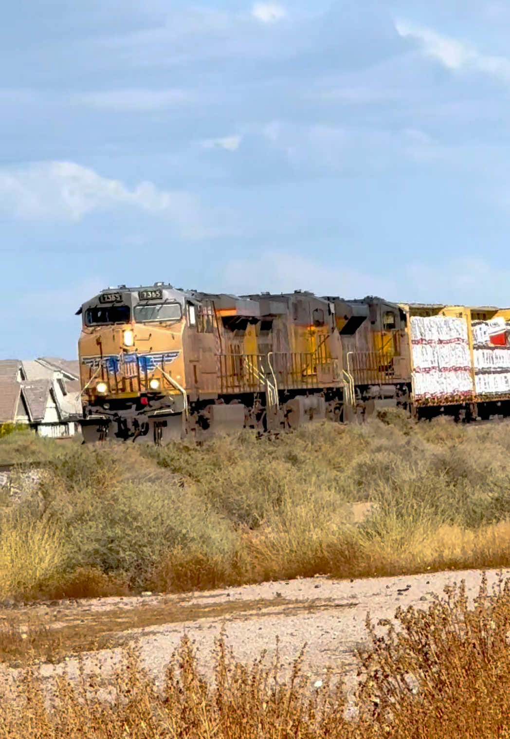 @ShinyRailsLover