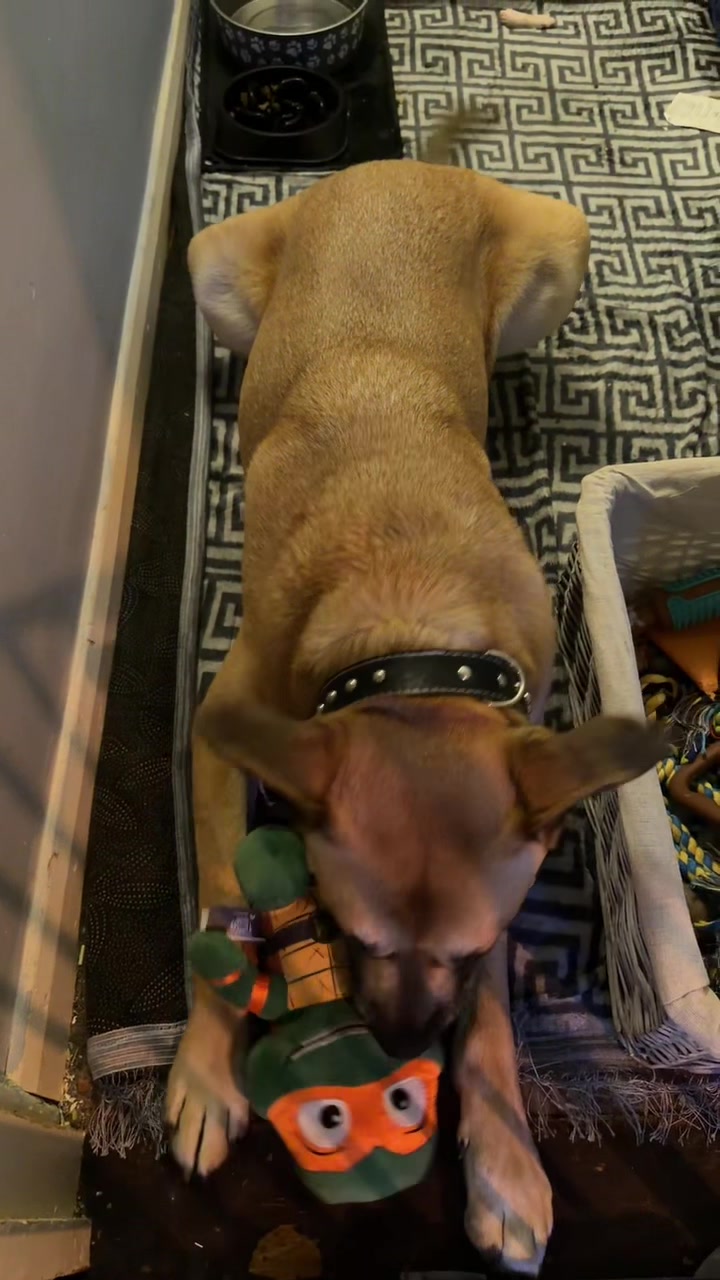 @Jax&rsquo;s_ adventures