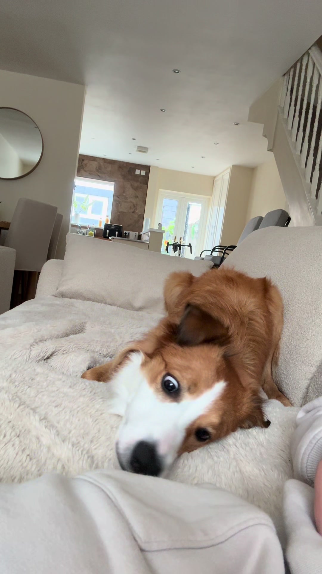 @Kam & Loki 🧡