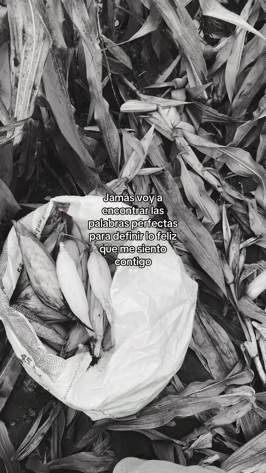 @️🥀Rafa🪫
