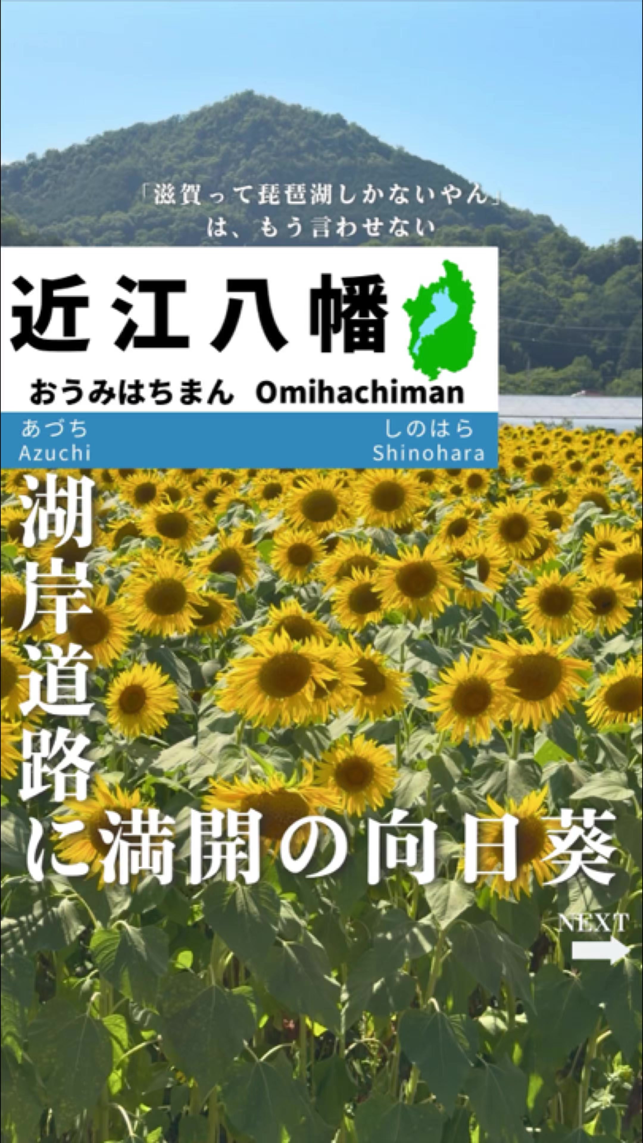 @せい｜滋賀県民｜滋賀県発、駅ごとに旅行スポットをお届け