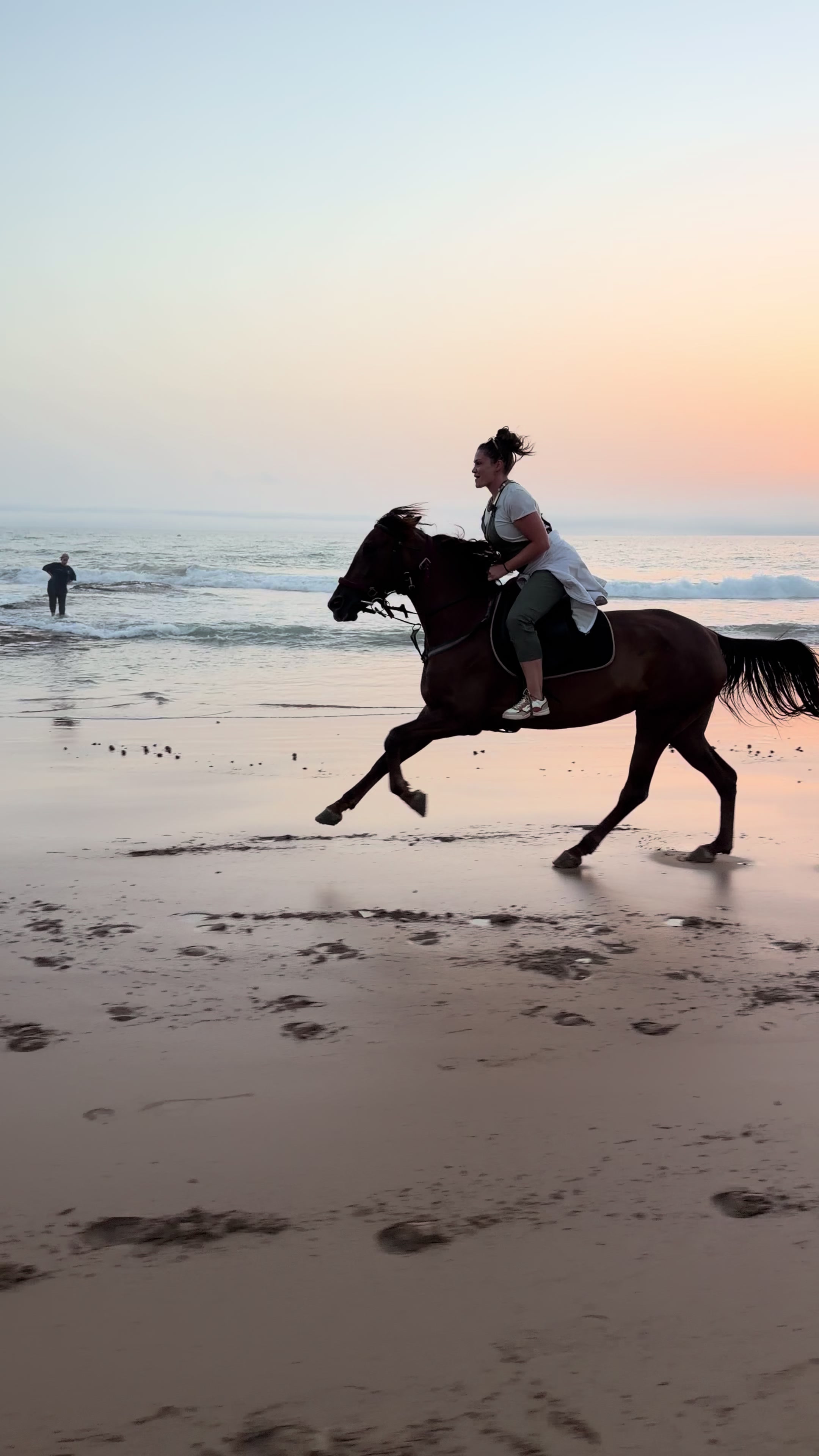 @Cheval_agadir