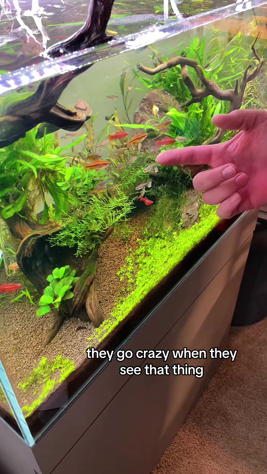 @fishygator