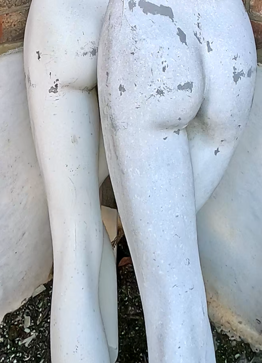 @ボロウスキー クモ