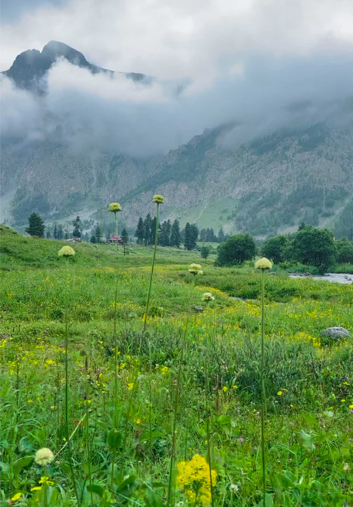 @NORTHERN EXPEDITION.pk