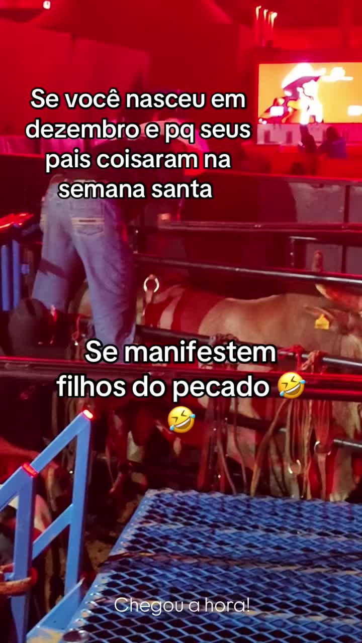 @𝓖𝓮𝓼𝓼𝓲𝓬𝓪 𝓫𝓪𝓻𝓻𝓮𝓽𝓸