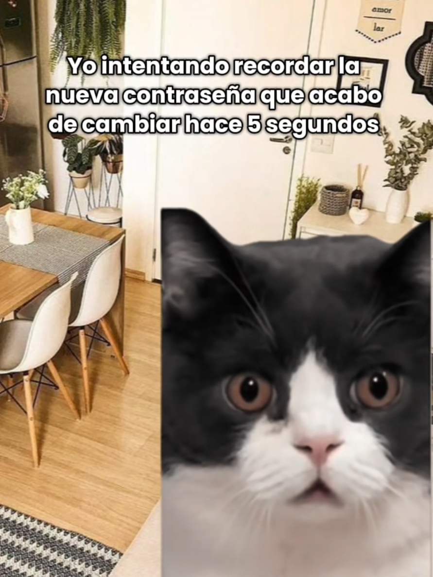 @_lu.g02 ✨️