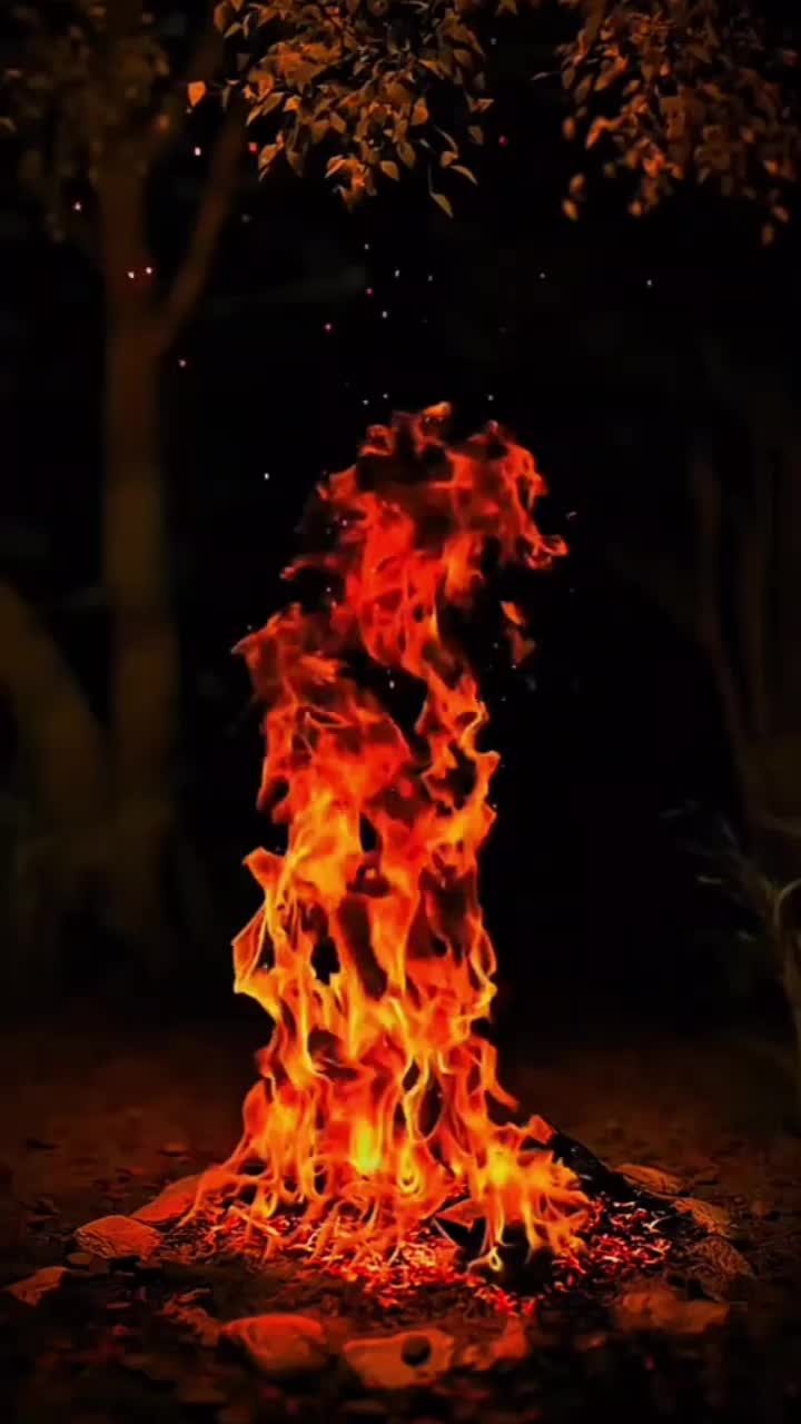 @Nikoli