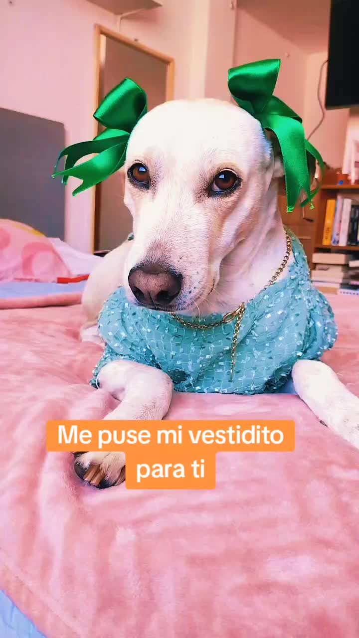 @winnie ❤🦮
