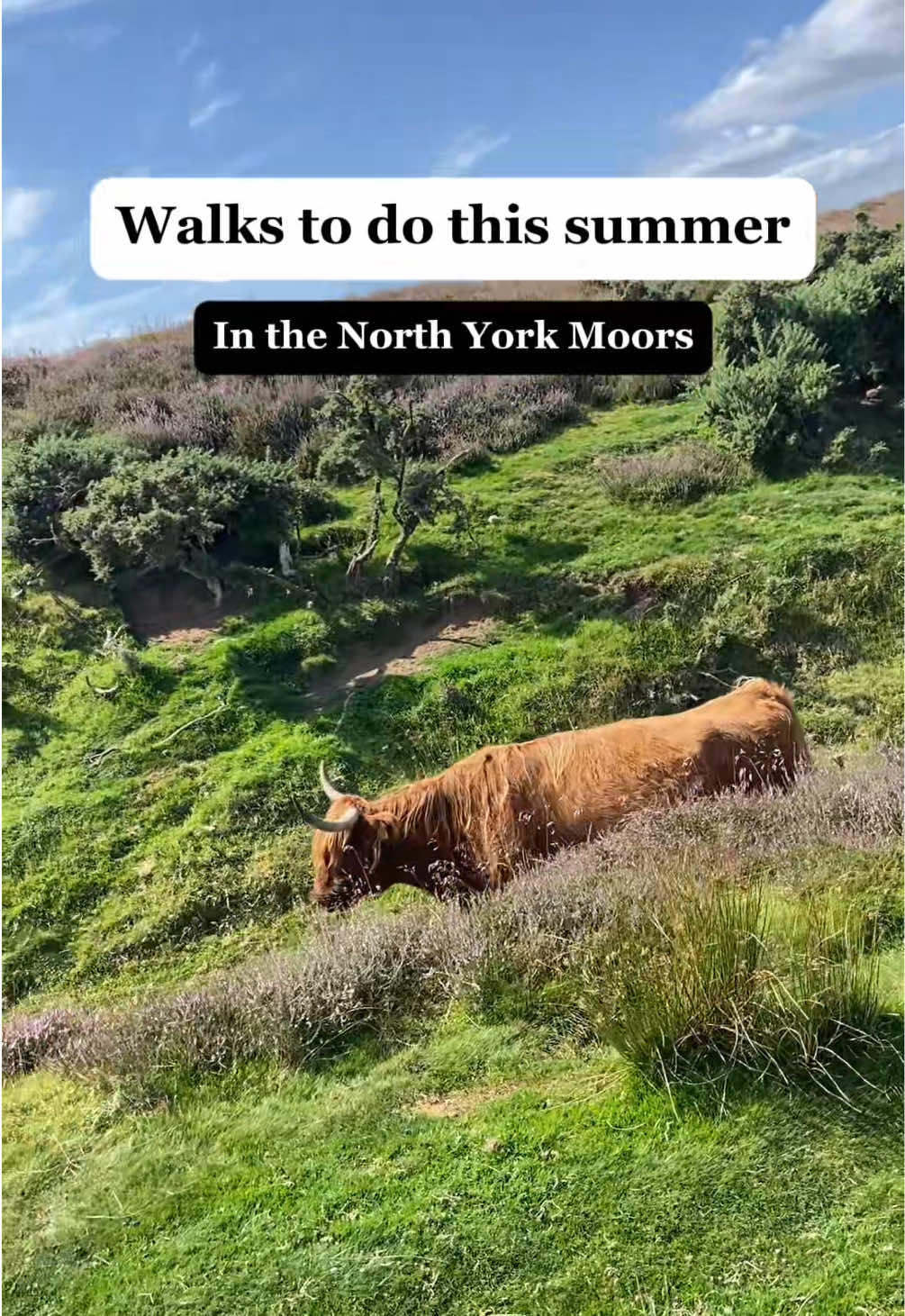 @Off the Map, Yorkshire