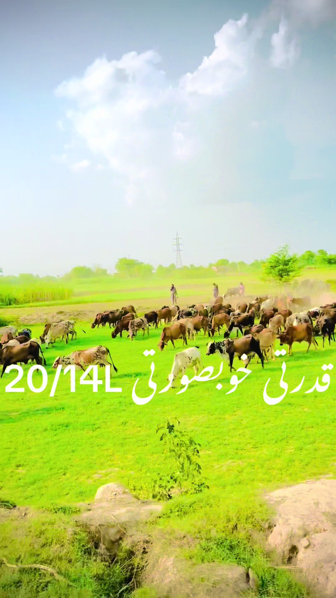 @میرا خوبصورت گاؤں