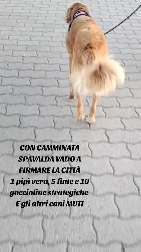 @Emanuele Pettineo