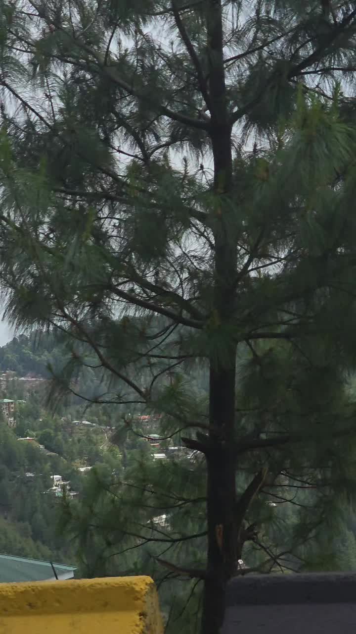 @Murree Live
