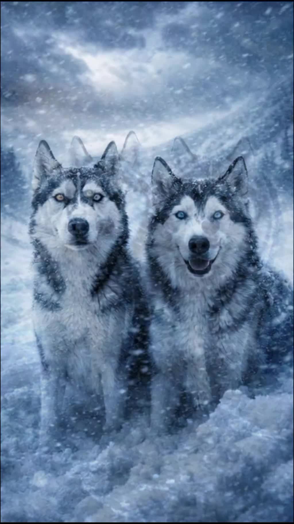@AleEisuoiPets