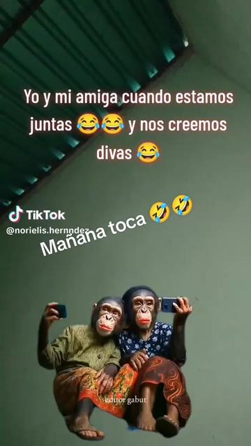 @🦋 🫒 💚PAQUI DE BAILÉN💚 🫒