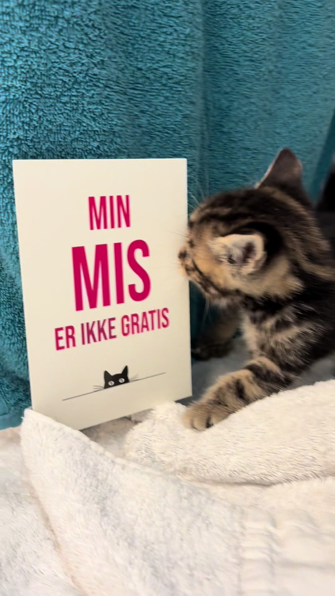 @Dyrenes Beskyttelse Århus