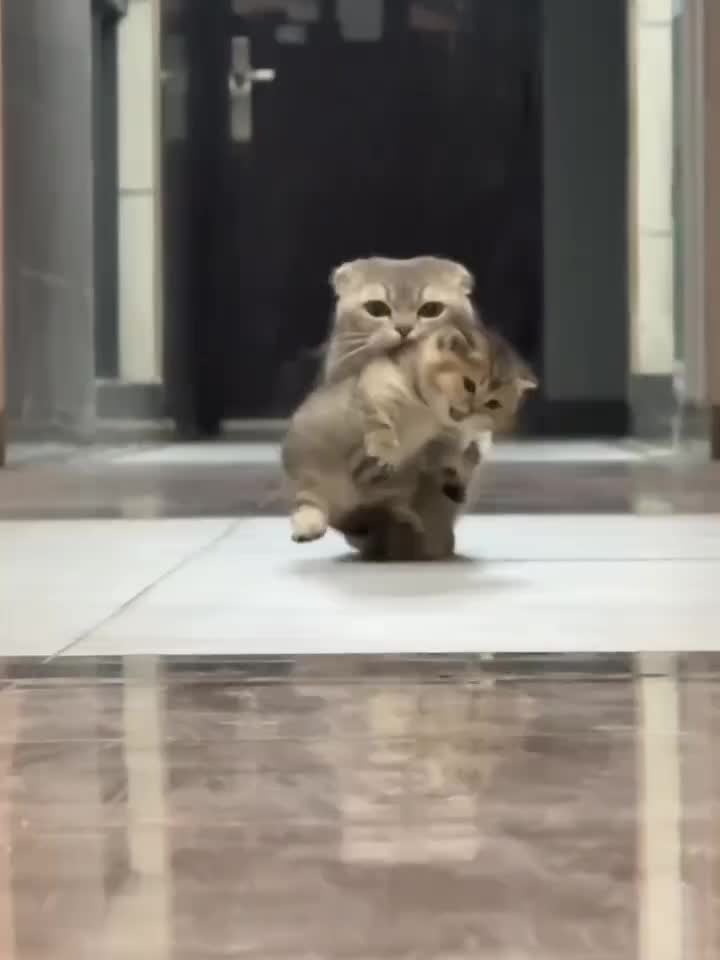 @👀