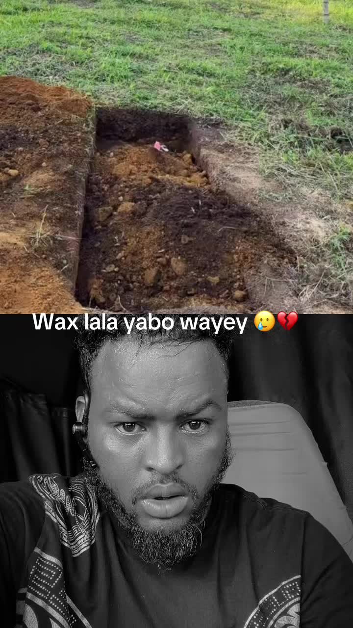 @abwanozil3✅❤️