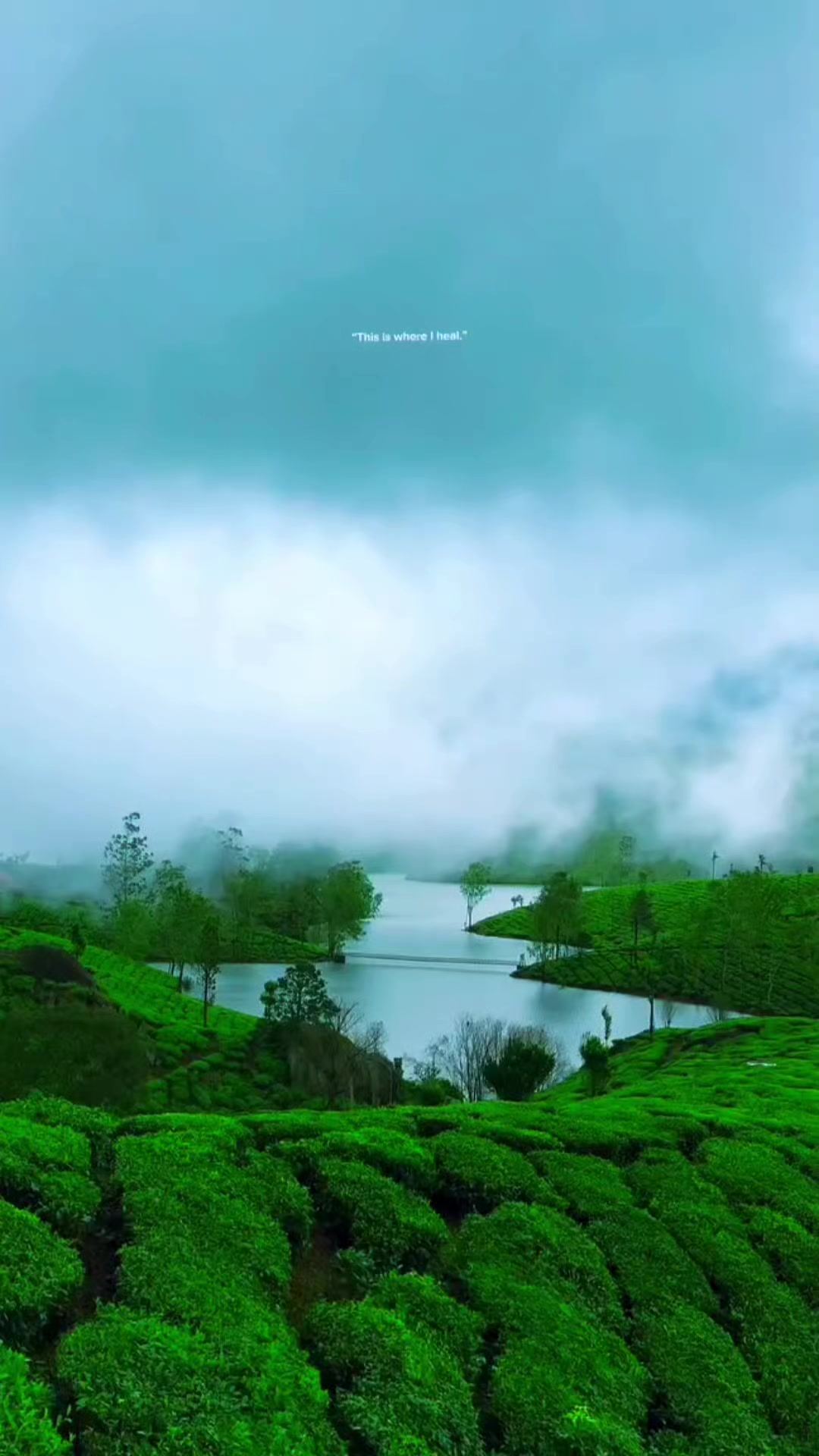 @noufal_kl10