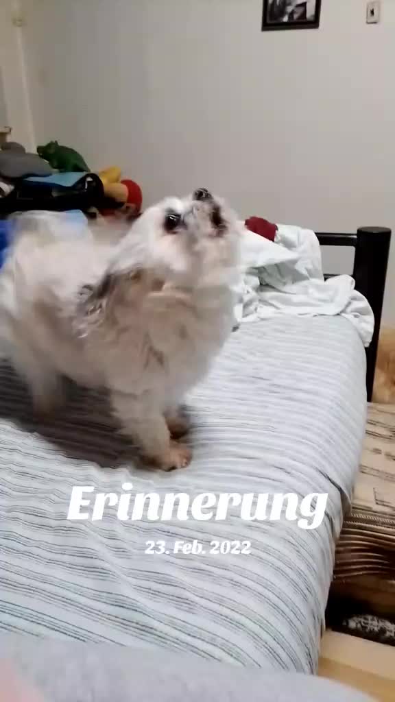 @💀💀DasBöse💀💀