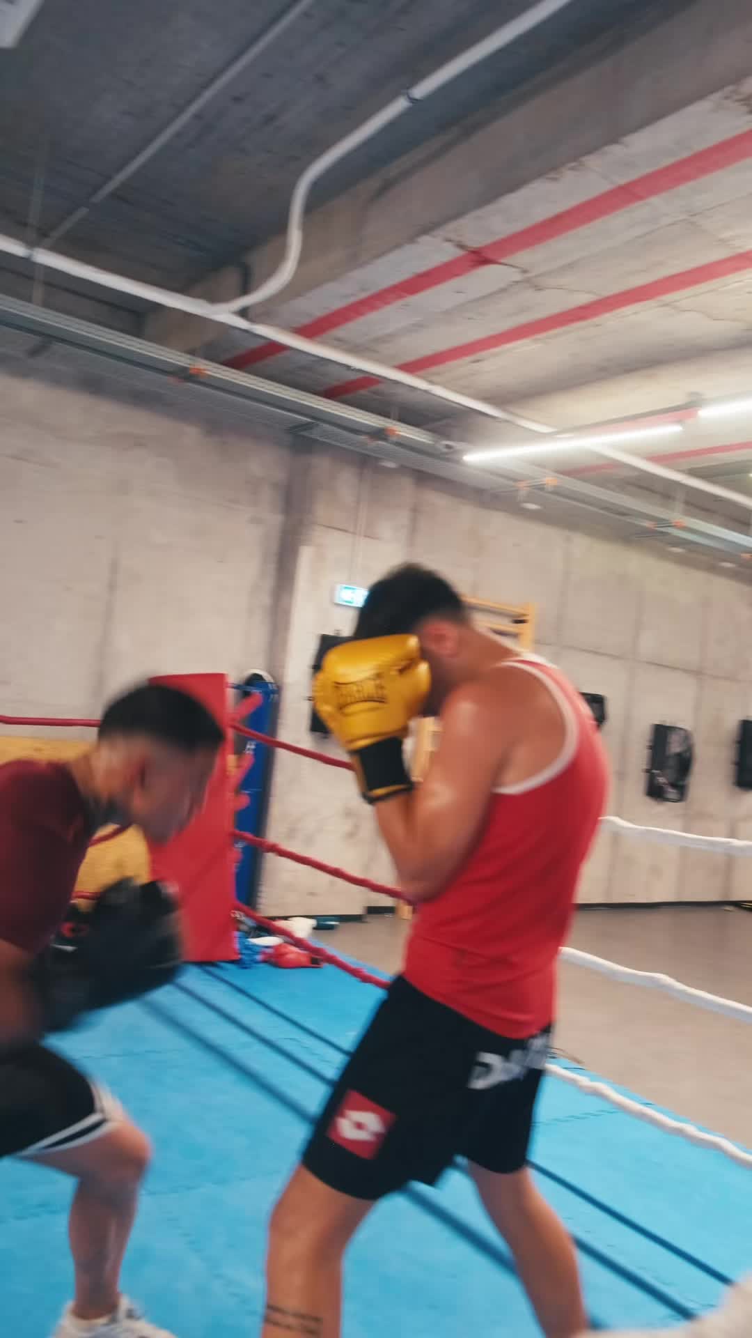 @C.S RAPID BUCUREȘTI - BOX 🥊