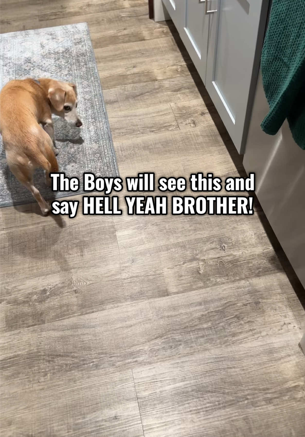 @HeyitsWoodyDK