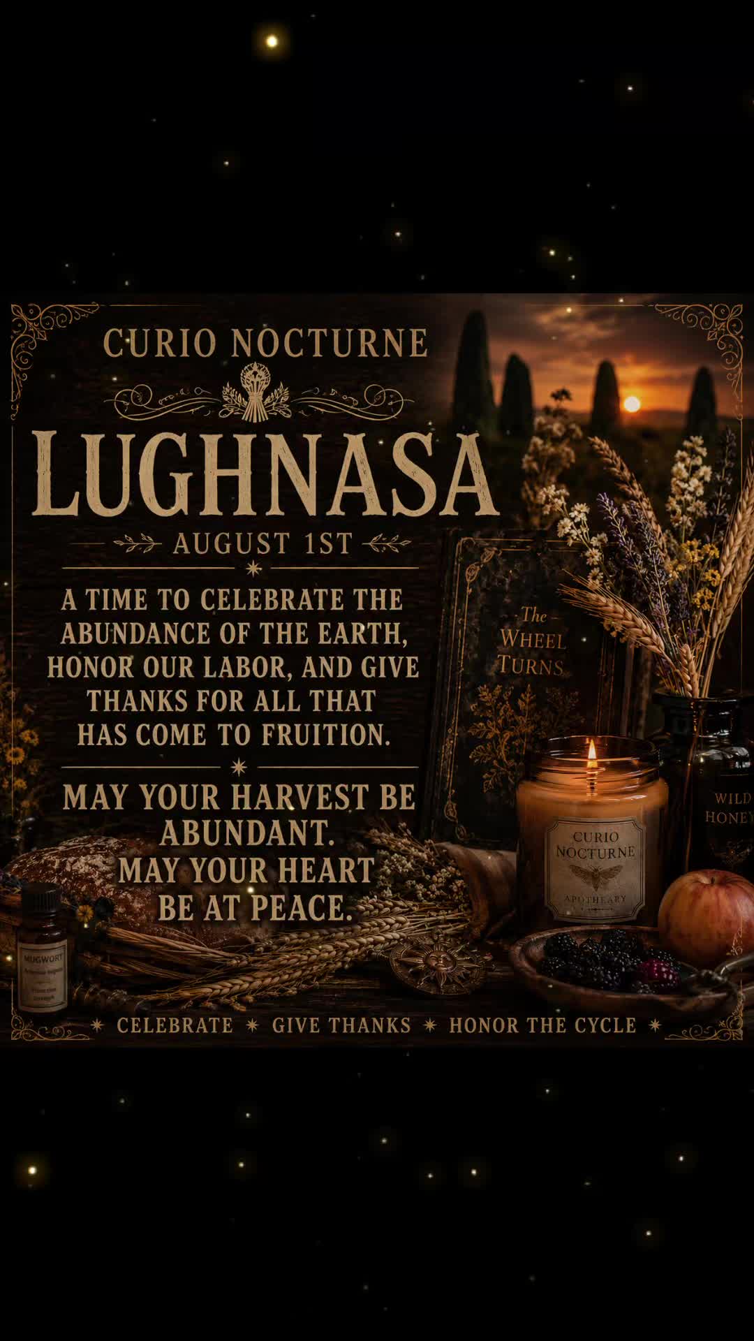 @Curio Nocturne