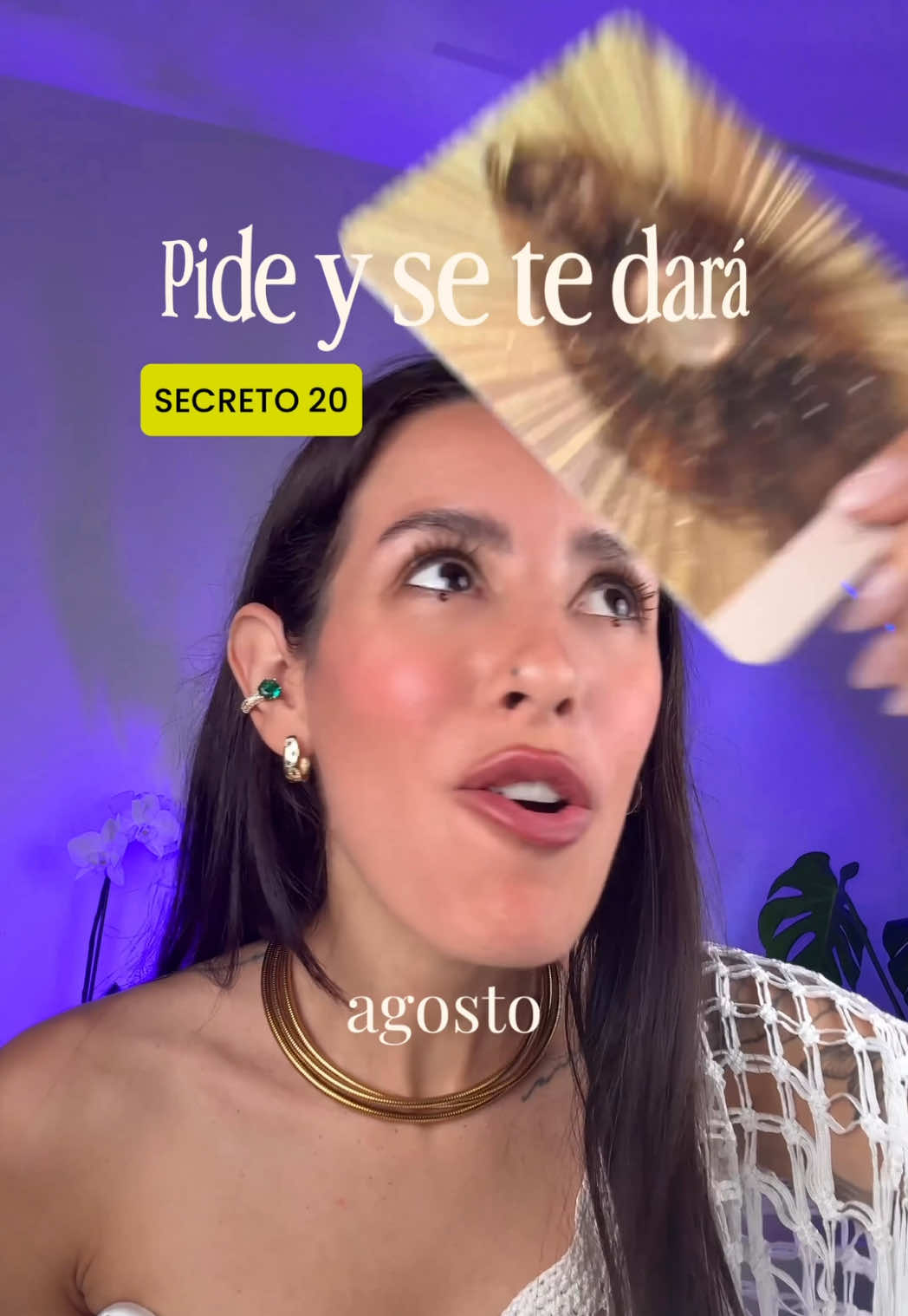 @Guru de la Calma