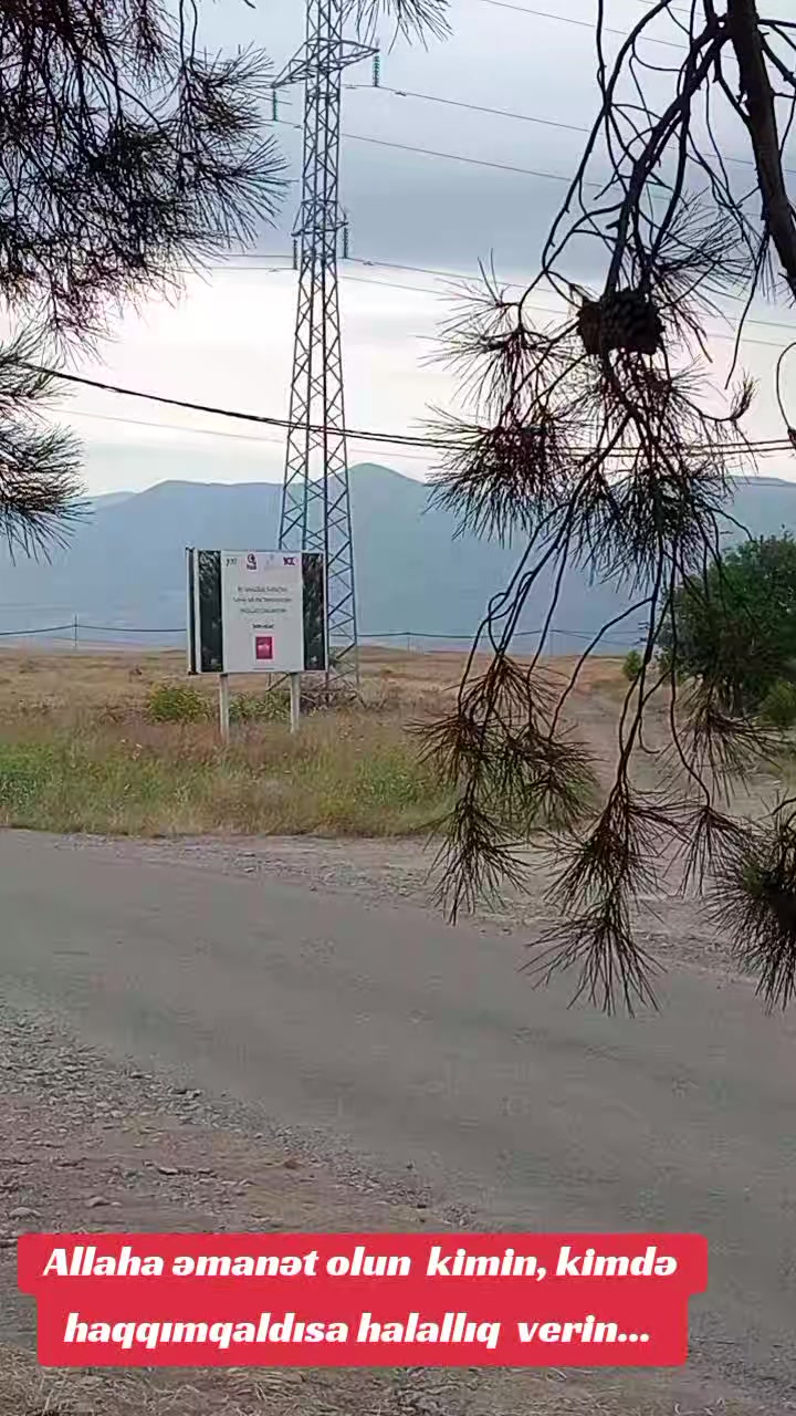 @Traktor_Aləmi