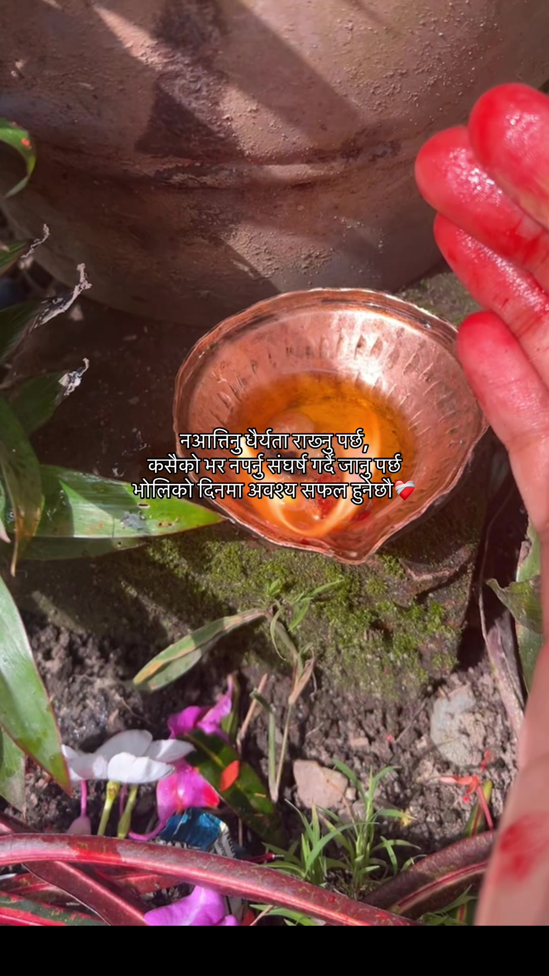 @🌷