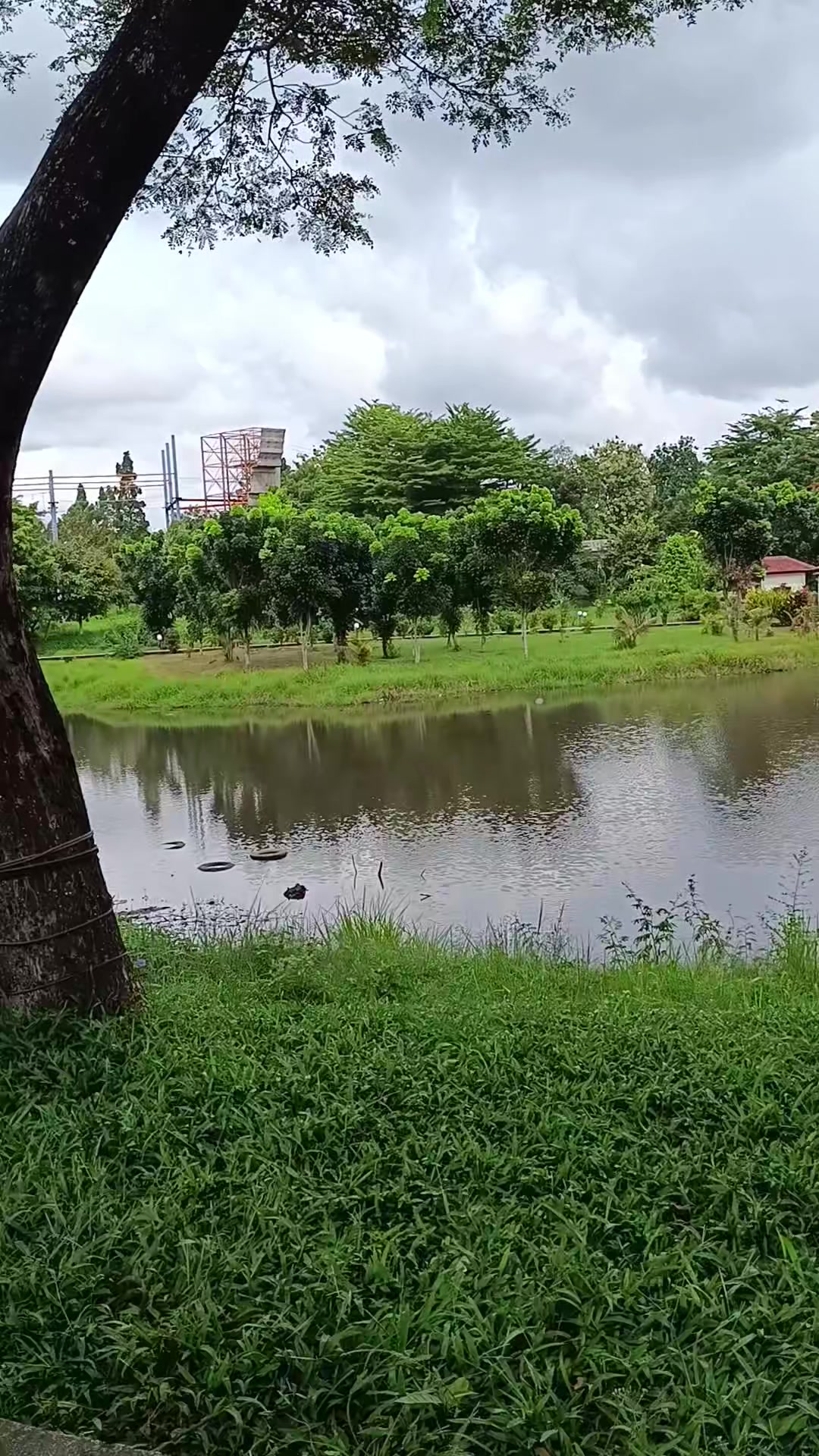 @bunsyisya